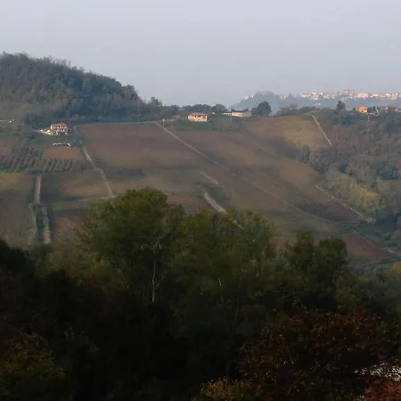 Palazzo D'assi - *